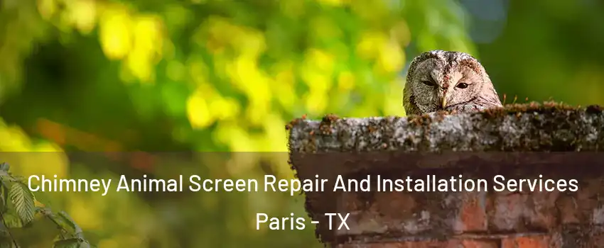  Chimney Animal Screen Repair And Installation Services Paris - TX