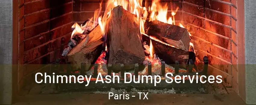  Chimney Ash Dump Services Paris - TX