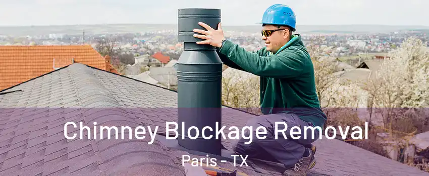  Chimney Blockage Removal Paris - TX