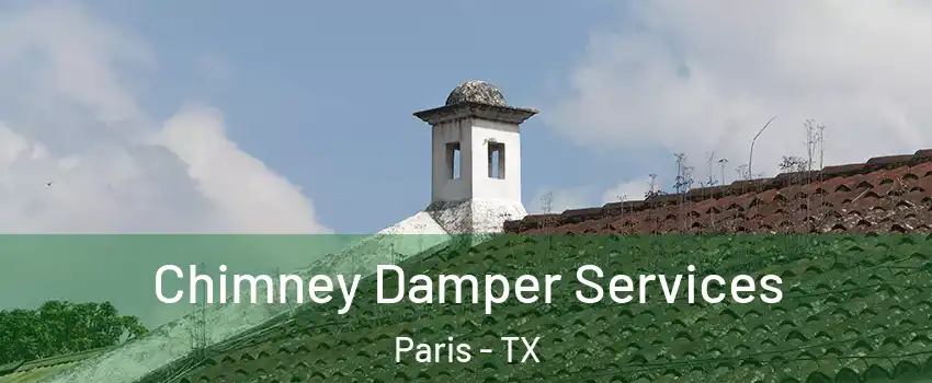  Chimney Damper Services Paris - TX