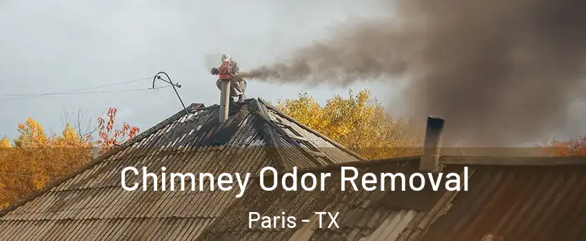  Chimney Odor Removal Paris - TX