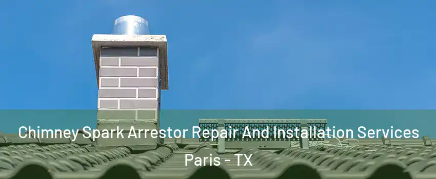  Chimney Spark Arrestor Repair And Installation Services Paris - TX