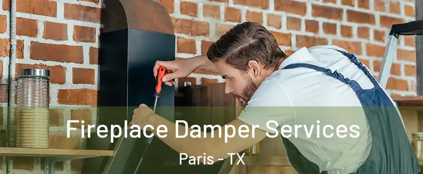  Fireplace Damper Services Paris - TX