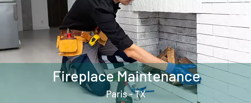  Fireplace Maintenance Paris - TX