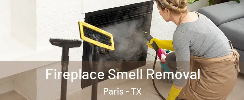  Fireplace Smell Removal Paris - TX