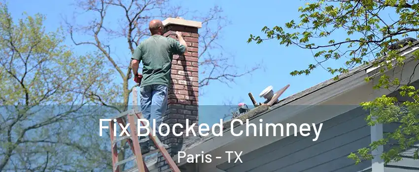  Fix Blocked Chimney Paris - TX
