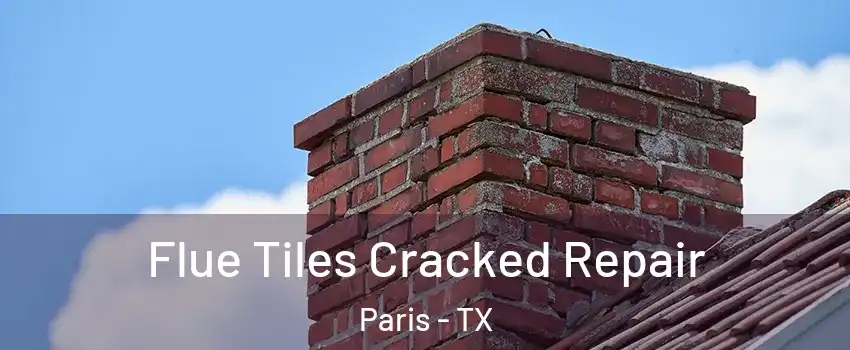  Flue Tiles Cracked Repair Paris - TX
