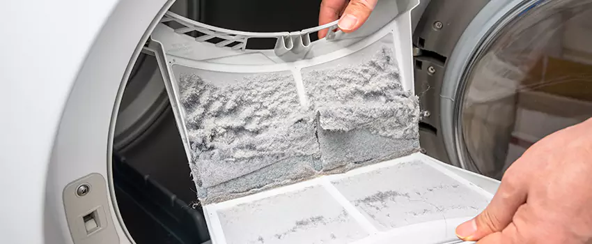 Best Dryer Lint Removal Company in Paris, Texas