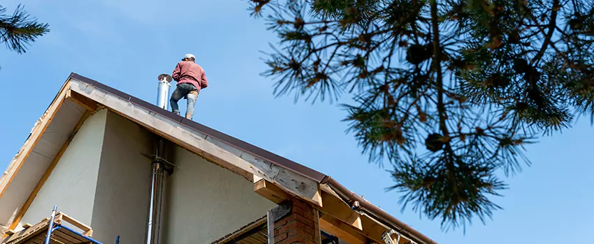 Birds Removal Contractors from Chimney in Paris, TX