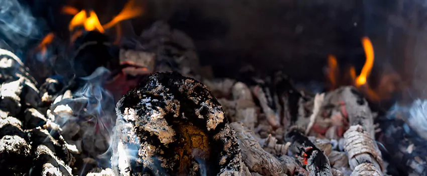 Creosote Removal Experts in Paris, TX