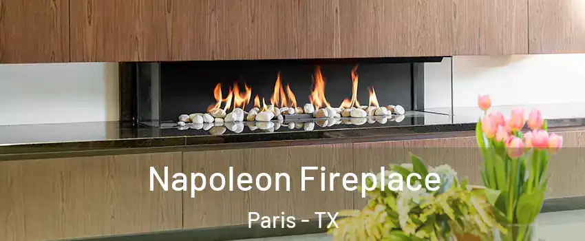  Napoleon Fireplace Paris - TX