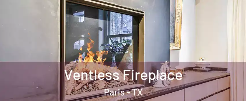  Ventless Fireplace Paris - TX